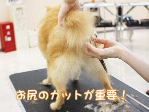 ２年生に向けて！先生の試技会♪②